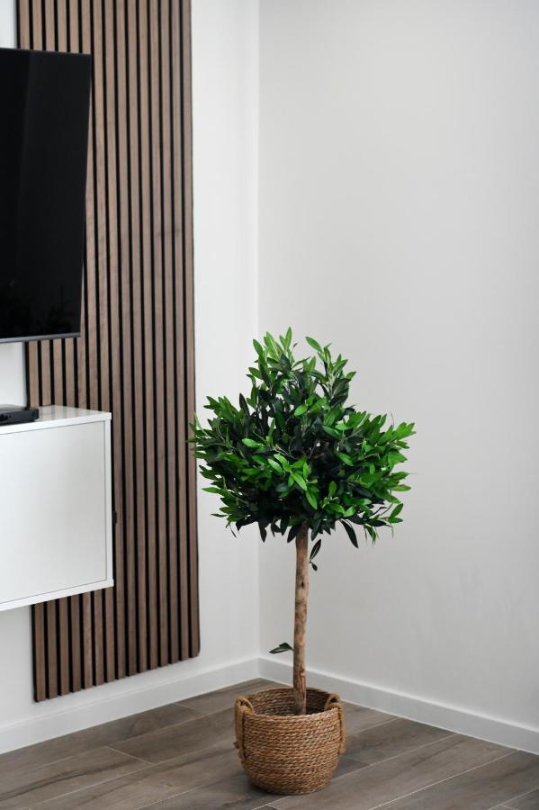 Aura Exclusive &